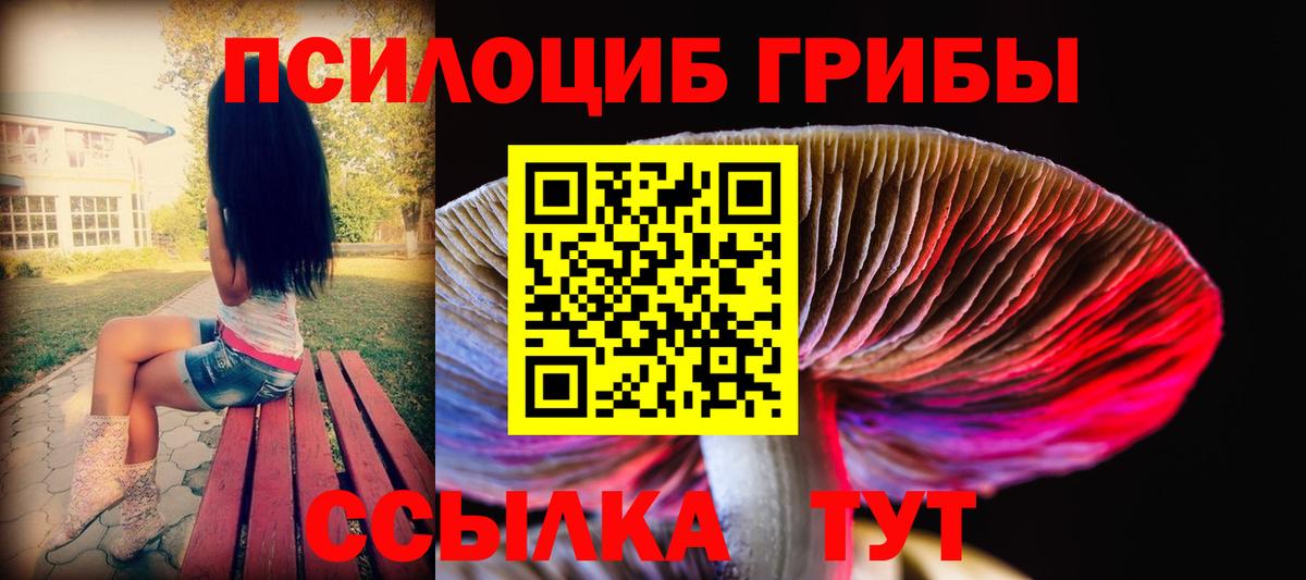 Псилоцибиновые грибы Psilocybine cubensis  Вход с VPN  Липецк 