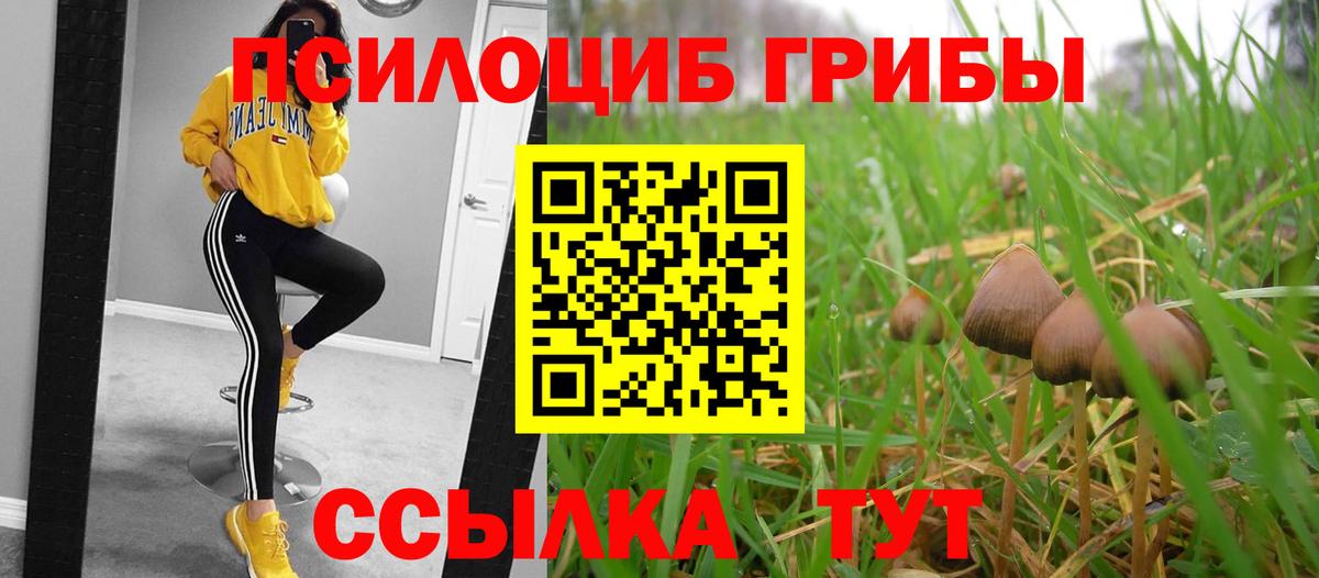 Псилоцибиновые грибы прущие грибы Липецк